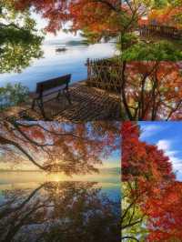 西湖絕美秋色預警這片霜葉紅得我心都化了～