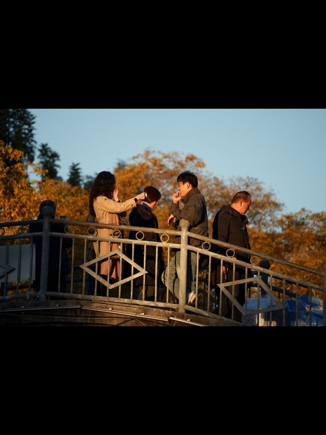 昆明秋日頂流滇樸鎏金季!保姆級打卡攻略,錯過等一年 昆明秋日頂流滇樸鎏金季!保姆級打卡攻略,錯過等一年