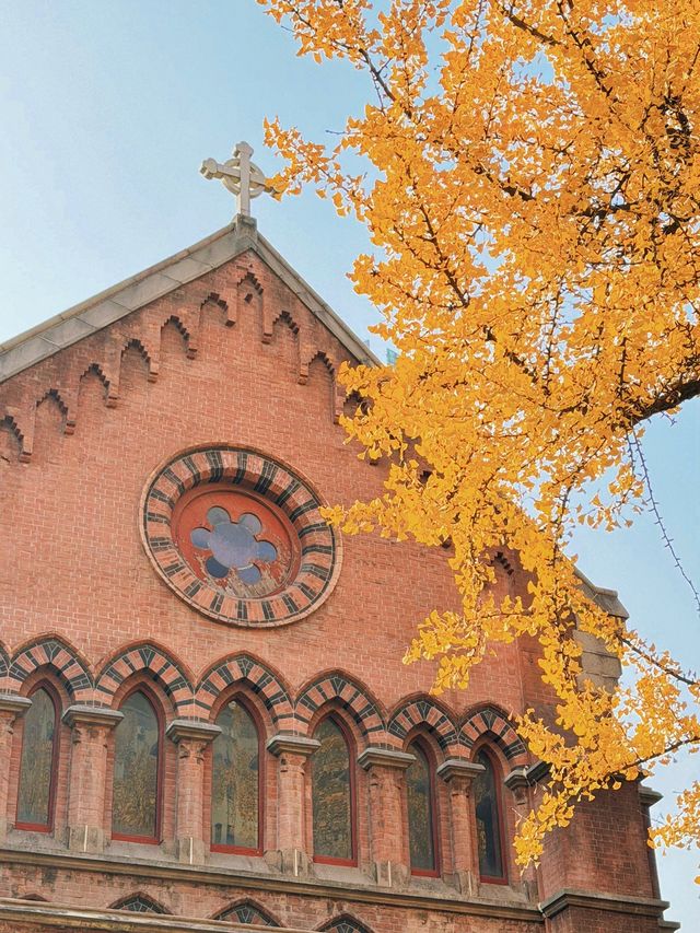 深秋限定！上海聖三一教堂銀杏與穹頂的絕美邂逅