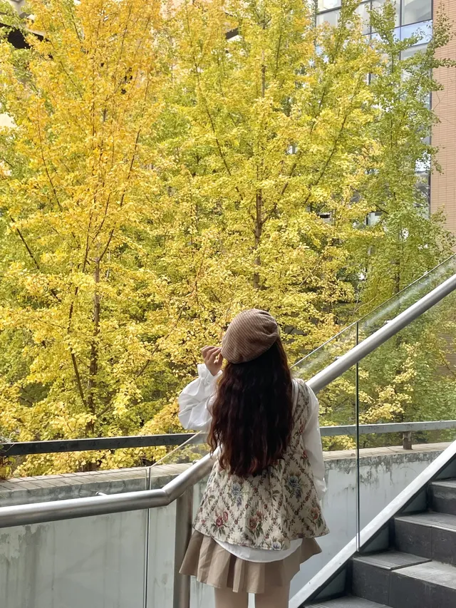 12.7實況!!福州這裡有超美銀杏打卡點!! 12.7實況!!福州這裡有超美銀杏打卡點!!