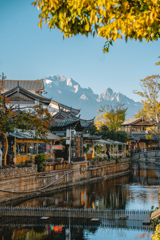 麗江古城慢遊記|我把時間調成了0.5倍速 麗江古城慢遊記|我把時間調成了0.5倍速