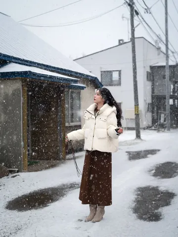 北海道雪又開始下了。