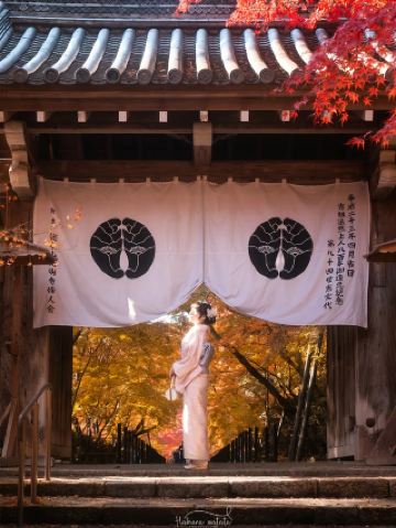 Old Style Japan: Stepping Back in Time 🏯🎎