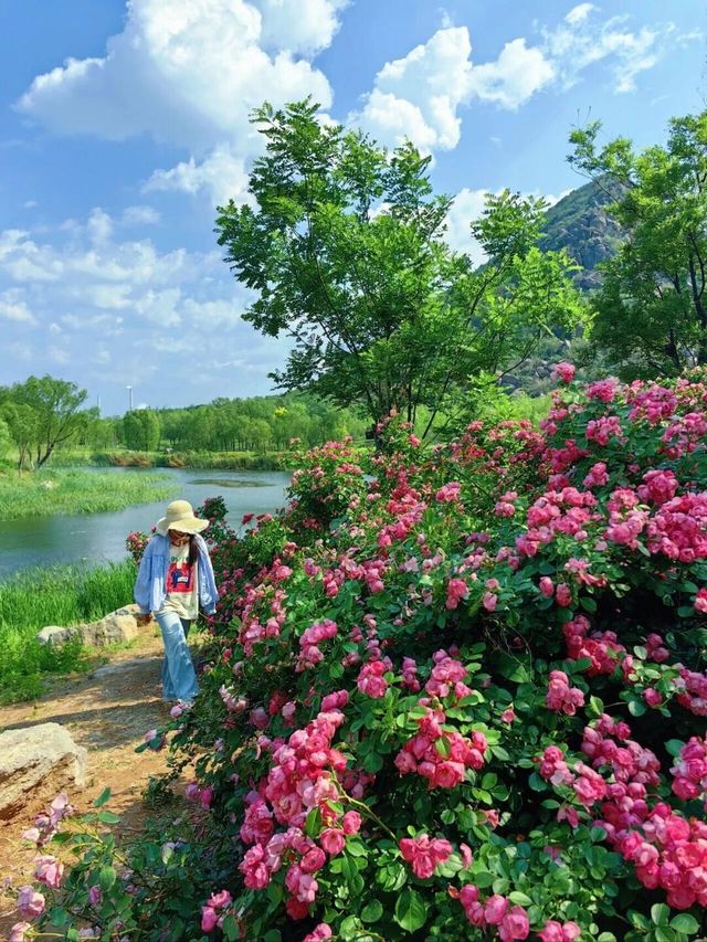 Jinan Spring Flower Viewing Map|7 Hidden Gems to Brighten Your Entire ...