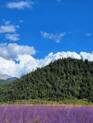 イギリス5日間ツアー攻略 徹夜でまとめた超完全チェックポイント