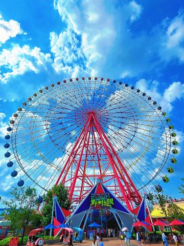 Stop asking where to go in Zhengzhou! Complete Guide to Haichang Ocean Park, One Day Is Not Enough