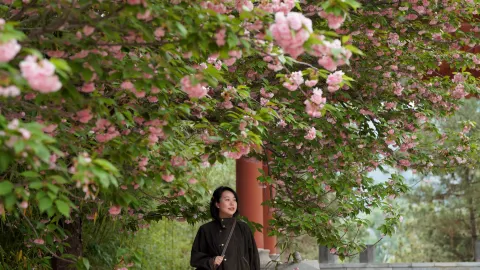Luoyang Surroundings｜Purple Qi Comes from the East at Hangu Pass, There's Also a Peony Garden Here! — traveler post in Sanmenxia
