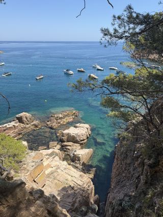 人間果凍海，各位了解一下