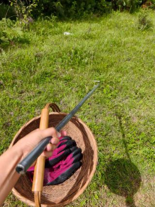 一籃子的回憶：大理採菇之旅。