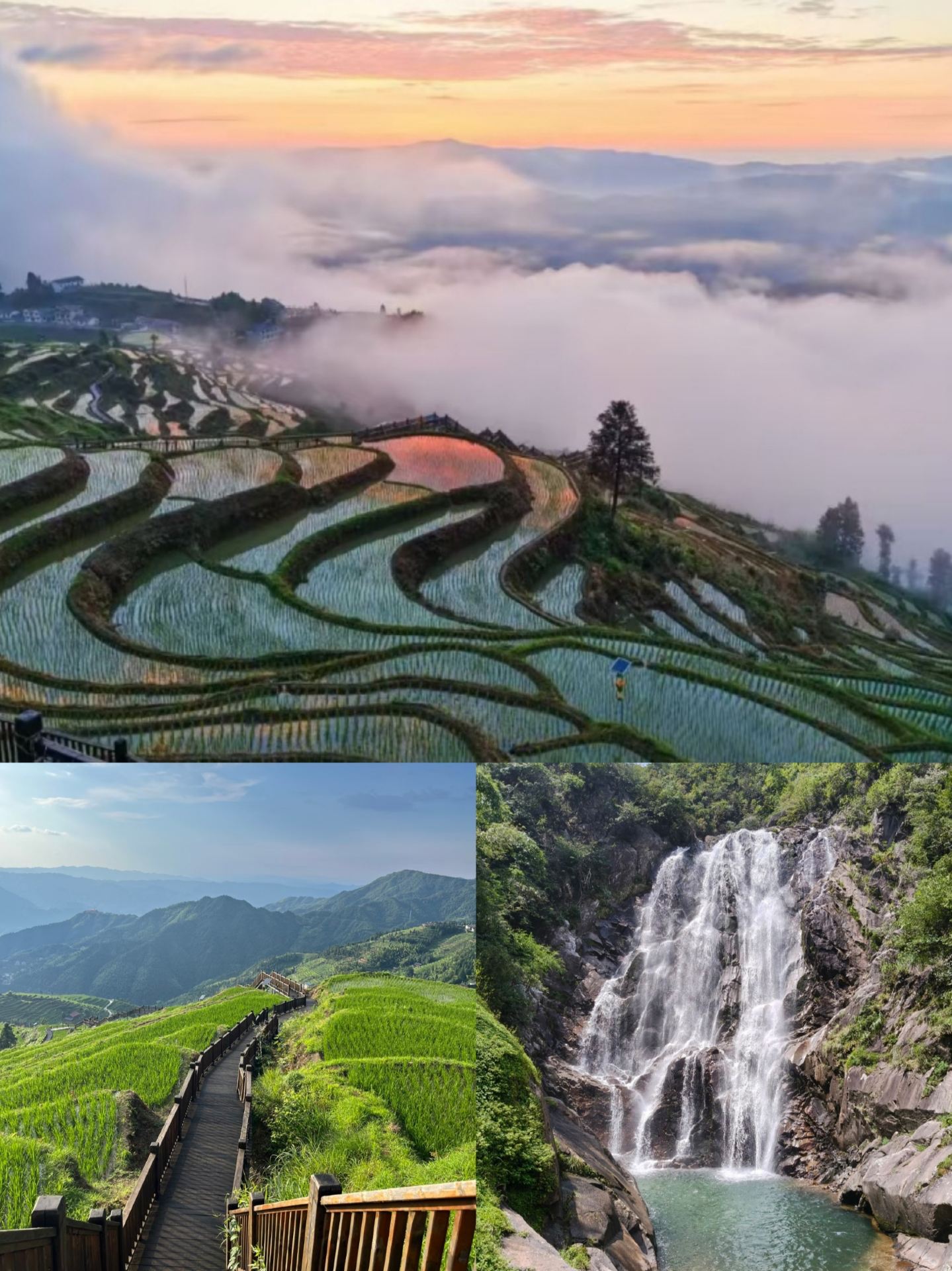Tôi tình cờ phát hiện ra một khu vực ẩn mình của dân tộc thiểu số Dao, bước vào thế giới núi non tươi đẹp và đầy màu sắc này.