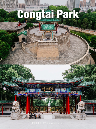 [Handan · Congtai Park] A poetic journey through a thousand years｜Banyu