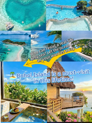 You must visit Bohol Island at least once in your life
