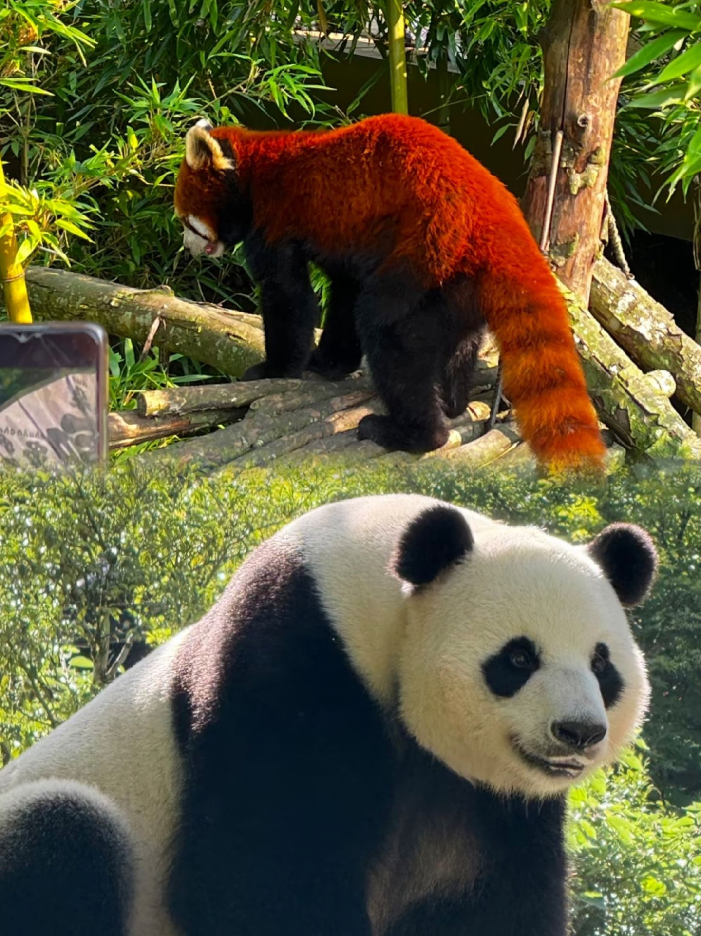 Hidden gems within a 2-hour high-speed rail radius! 7 niche, top-tier destinations around Xi'an for a Friday getaway