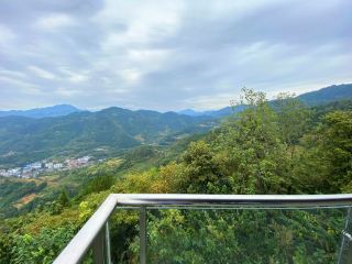 馬盤山生態觀光園｜平利山頂休閒度假區，茶鄉山野一站式度假   馬盤山生態觀光園位於安康平利縣城關鎮，