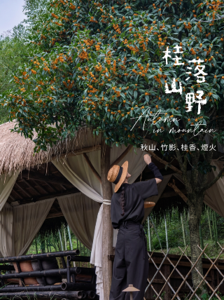 安吉語自在｜秋日山居，赴一場桂花味的慢生活