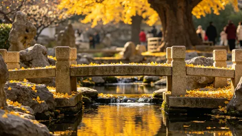 Stay at Ronghua and Explore the Ginkgo Forest — traveler post in Linyi