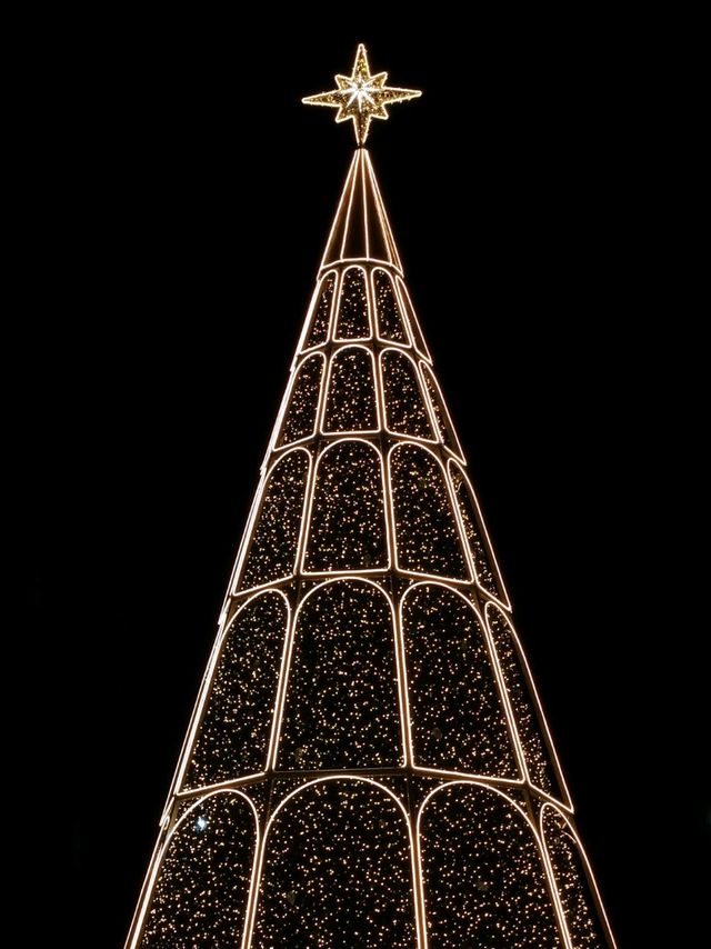 난... 작년 겨울에 트리 못봤는데....😭 하시는 분들 🎄주목🎄