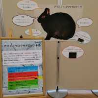 期間限定展示　干支展　天王寺動物園