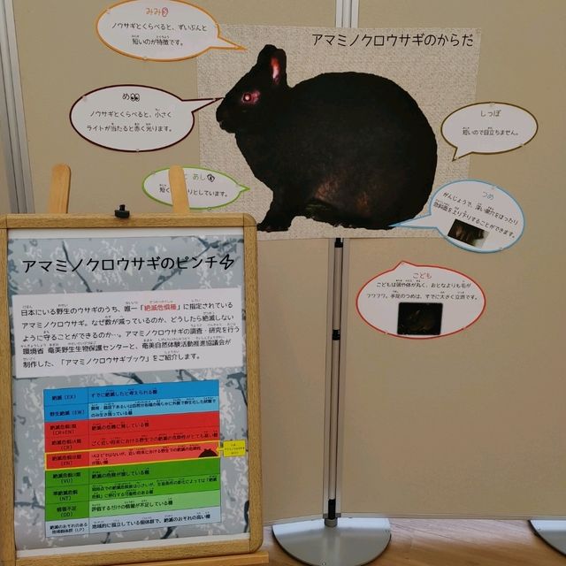 期間限定展示　干支展　天王寺動物園