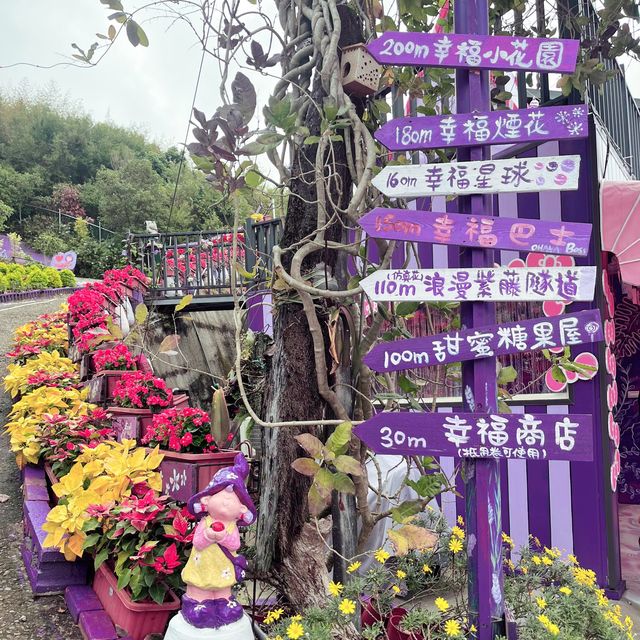 Shades of Purple in Taichung