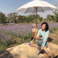 ร้านกาแฟลับๆใกล้บ้าน Paipresso Cafe