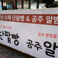 계룡산 동학사 상점가 수통골입구 팬션투어