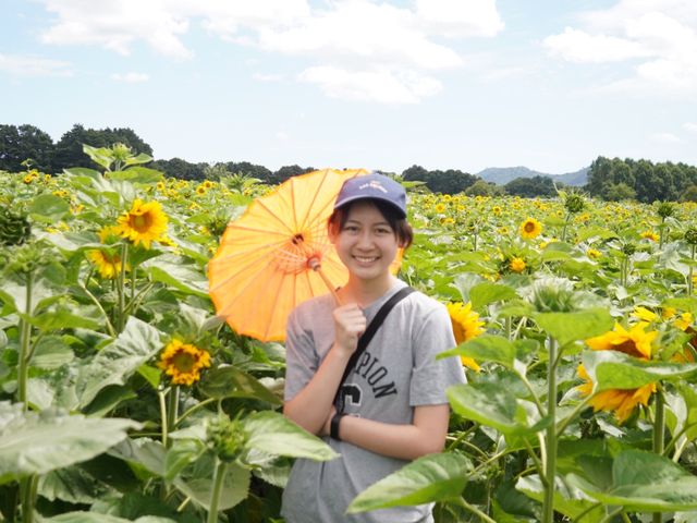 太陽花大過你塊面既太陽花場