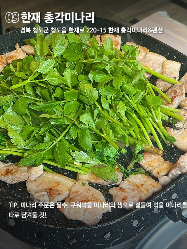 청도 찐맛집과 카페까지 당일치기 가능한 코스🚌