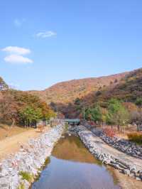 서울 근교 데이트 양주 여행 코스💕