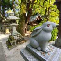 岡崎神社境内　雨社・宮繁稲荷神社