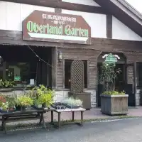 來到兵庫縣不能錯過但馬牛61種不同部位燒肉