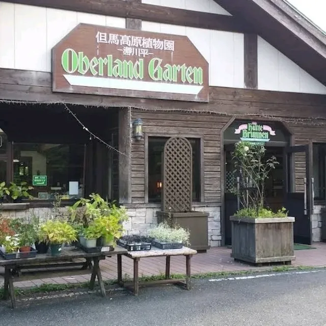 來到兵庫縣不能錯過但馬牛61種不同部位燒肉