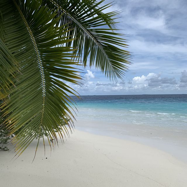🏝️馬爾代夫 豪華全包度假村推介🏖️
