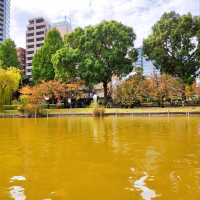 Fun Swan Paddleboats at Shinobazu Pond