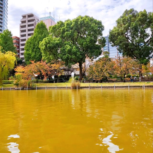 Fun Swan Paddleboats at Shinobazu Pond