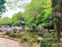 สวนสาธารณะกิฟุ (Gifu Park)🌳🌿