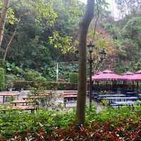 深圳景點✨ 人山人海的鳳凰山森林公園
