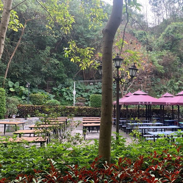 深圳景點✨ 人山人海的鳳凰山森林公園