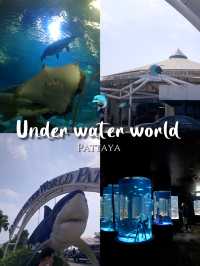 โลกใต้ทะเลที่พัทยา🐳🐋🐬