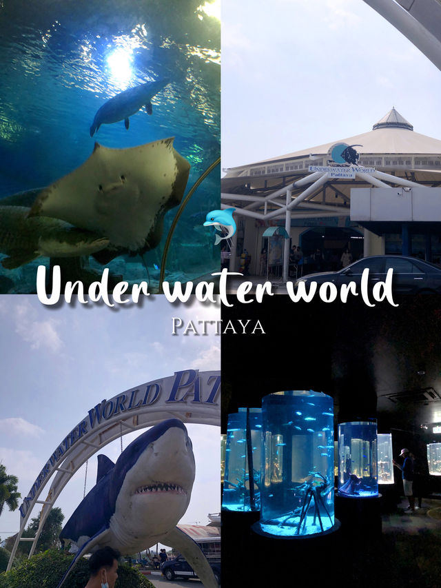 โลกใต้ทะเลที่พัทยา🐳🐋🐬
