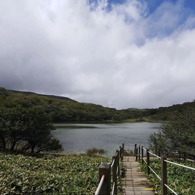 ⛰️한라산 다음으로 높은 산호수 오름! 사라오름