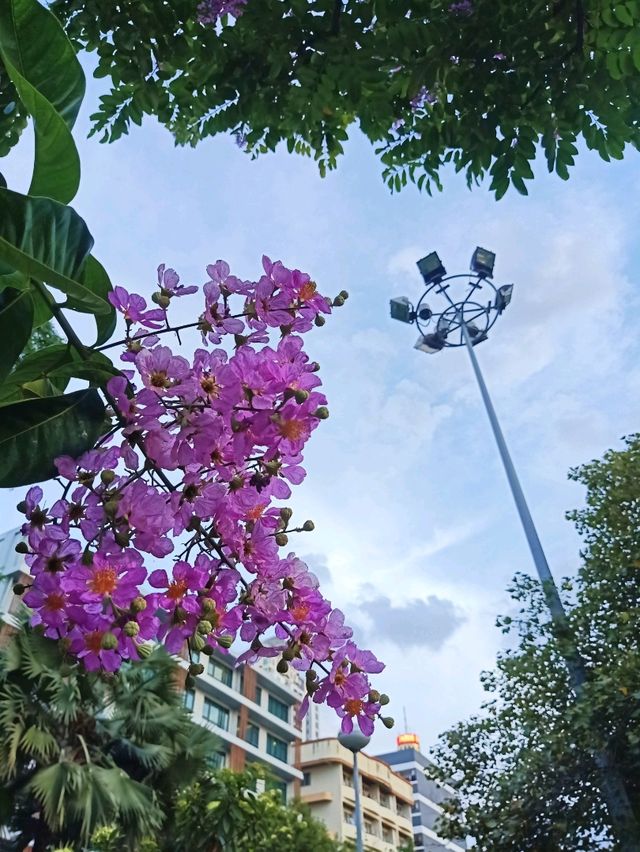 สวนสันติภาพ สวนกลางกรุงสำหรับออกกำลังกาย 