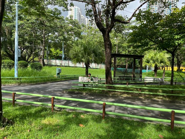 親子放電好去處 @ 賈炳達道公園
