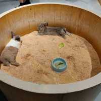 筍崗室內動物園