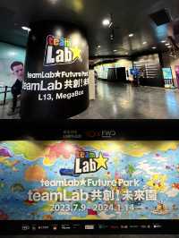 香港teamLab｜在沈浸式共創中做光影藝術家