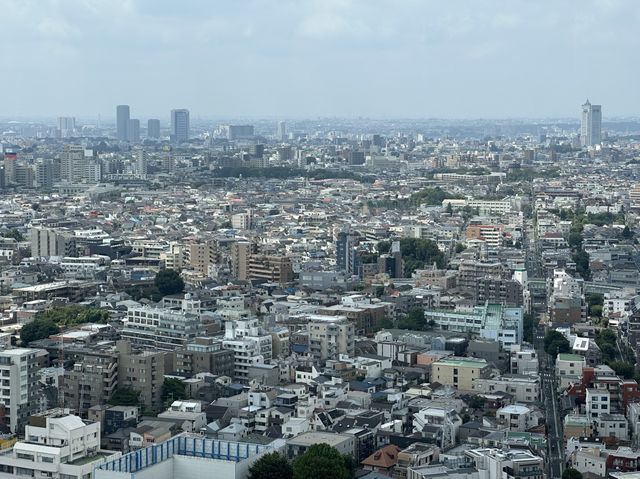 東京・三軒茶屋。無料で地上126mから都心や東京タワーの夜景も楽しめる『スカイキャロット展望ロビー』