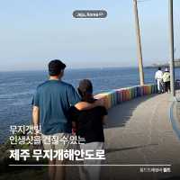 무지갯빛🌈 인생샷을 건질 수 있는 🚗 무지개해안도로