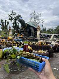 พญาเต่างอย