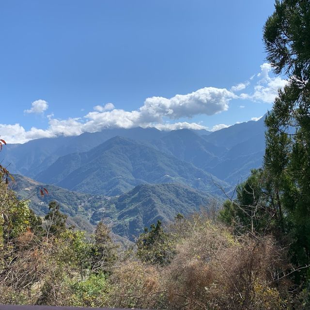 清境農場一日遊：山青水秀的自然樂園