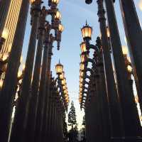 la현대미술관🎨 LACMA, Urban Light